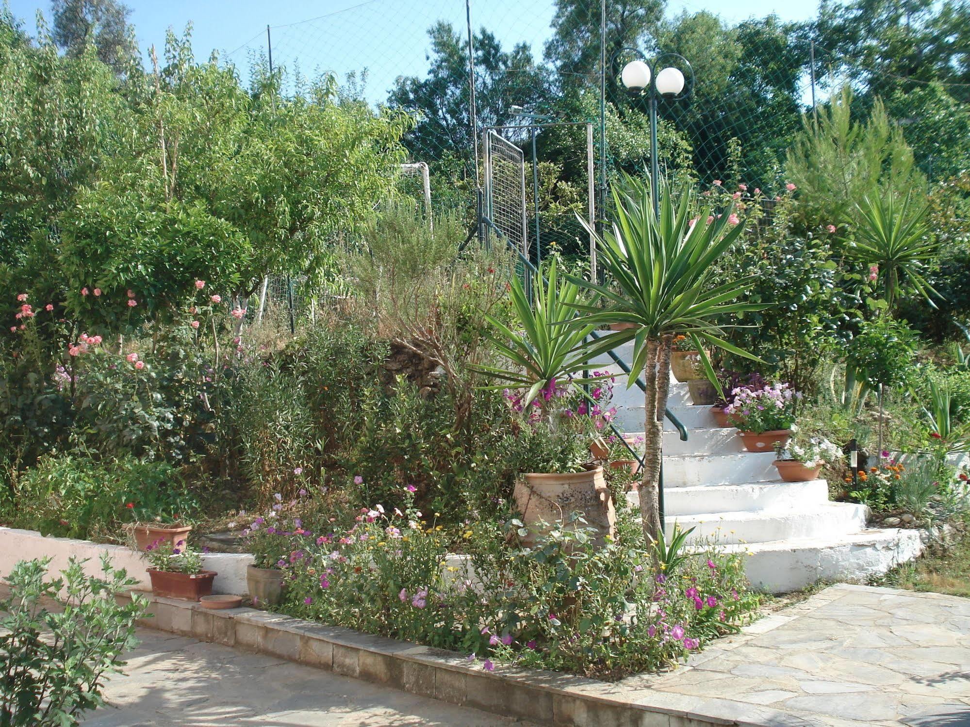 Villa Avra Dassia  Exterior photo